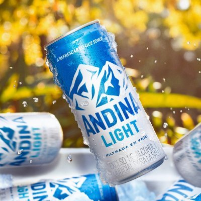 Cerveza Andina y el Fútbol's profile picture