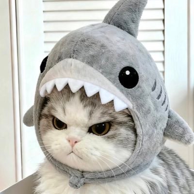 janina's profile picture