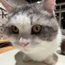Profilbild von 哔哔