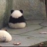 潜龍弍 的头像