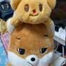 Profilbild von มัมที่มีลูกเป็นหมี