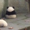Jesse 的头像