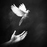 غلطه وصارت's profile picture