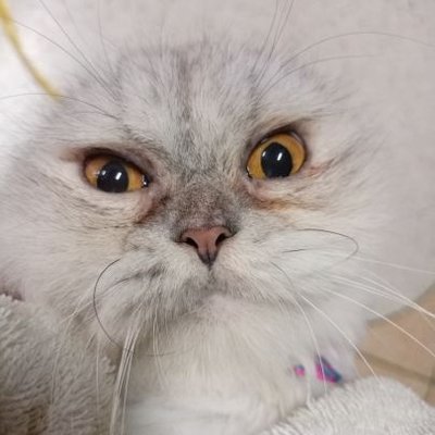 ป้าแอ๋วหัวใจบีซัม🤍🖤's profile picture