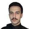 🇸🇦 Rayan Hussain's profile picture