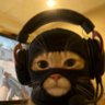 eyeronicxx's profile picture