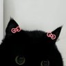 L profil fotoğrafı