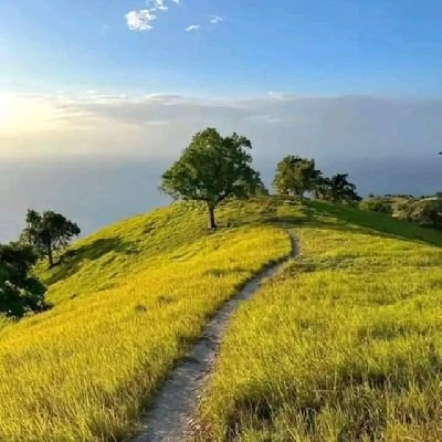 2buner's profile picture