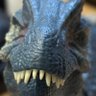 Alexander the Allosaurus profil fotoğrafı