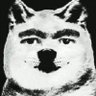 Profilbild von pepobeb