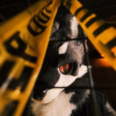 denkosann's profile picture
