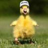 Anthony's profile picture