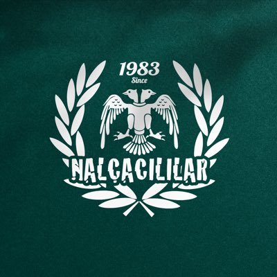 NALÇACILILAR's profile picture