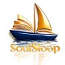 心灵书舫 | SoulSloop profil fotoğrafı