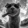 Hmitea Hmi's profile picture