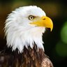 Profilbild von Barcolla