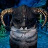 Elias's profile picture