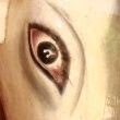 elonmaskumamey's profile picture