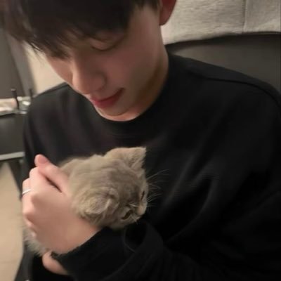 wenwenctbd's profile picture