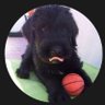 EL MORO's profile picture