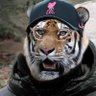 Profilbild von ShanyG