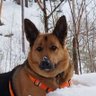 Триша и её множественные миры's profile picture