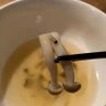 s ll 的头像