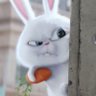 晓 profil fotoğrafı