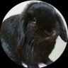 ラテ@老化と無縁な人のライフサイエンス's profile picture