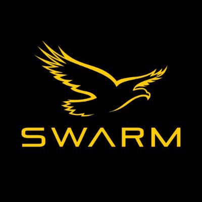 IowaSwarm's profile picture