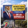 Javoselcampillo profil fotoğrafı