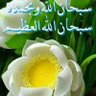 Turab's profile picture