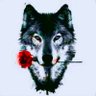 Profilbild von lonewolf