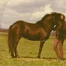 Roxy Koningisor profil fotoğrafı