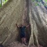 Фото профиля ବିକାଶ ପଟ୍ଟନାୟକ