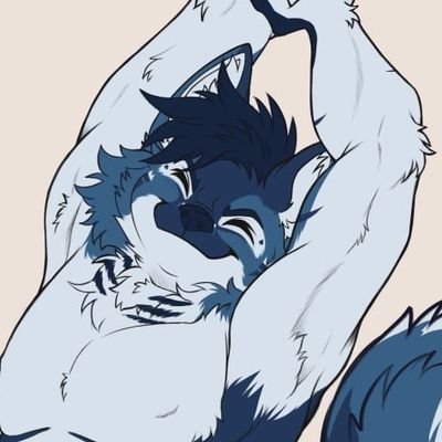 BonesCollie's profile picture