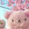 そば's profile picture