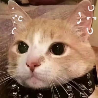 ji_weng71114's profile picture