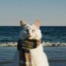 Profilbild von Max
