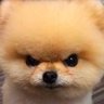 Profilbild von ssiptruk