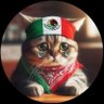 Gato 🐐 profil fotoğrafı