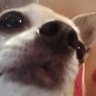 Profilbild von Jinkel