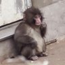 FAFO 🥷 profil fotoğrafı
