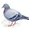 Delta Briyani's profile picture