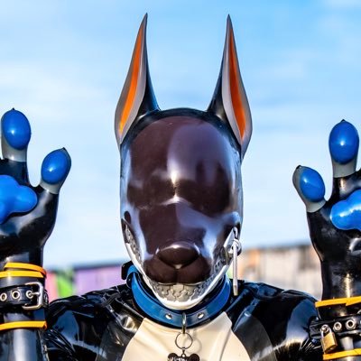 Dokuta's profile picture