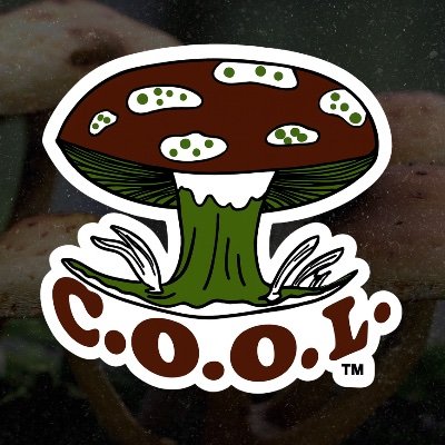 thecoolclinic's profile picture