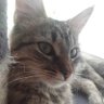 Runera24 profil fotoğrafı