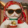 rahiraha🇬🇧🇮🇷's profile picture
