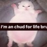 jj profil fotoğrafı