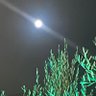 Фото профиля Rasha.H 🇱🇧